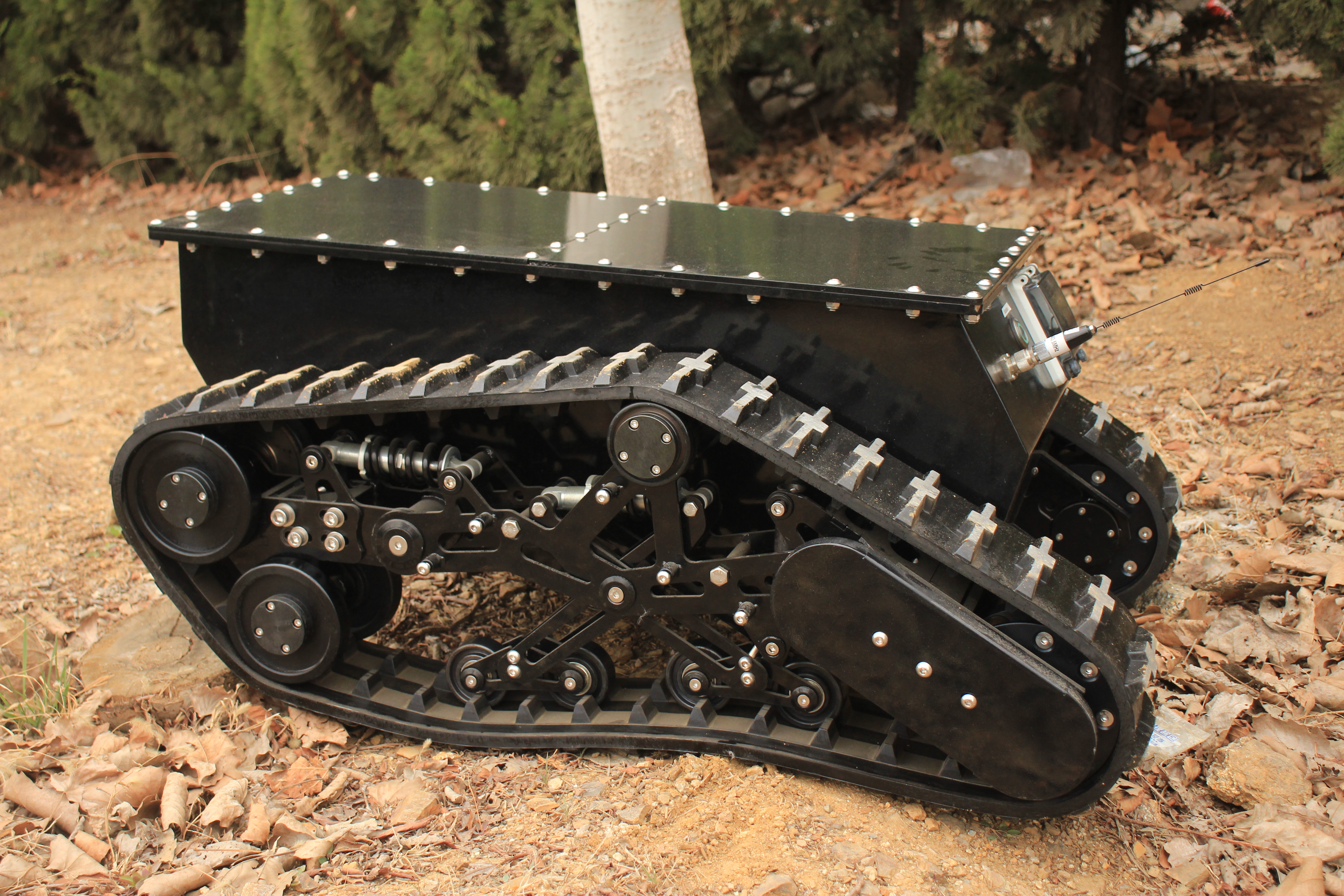 IMG_0013(1) IMG_0013(1)